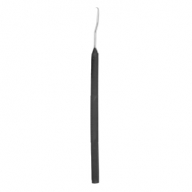 Dental Products 